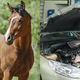Illustration for article titled I’m Kind Of Like A Modern-Day Horse Doctor
